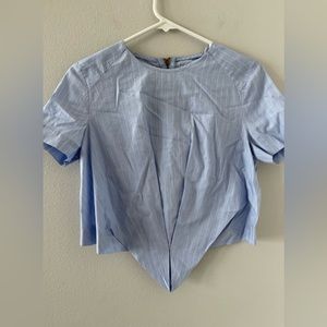 Zara Trafaluc crop top